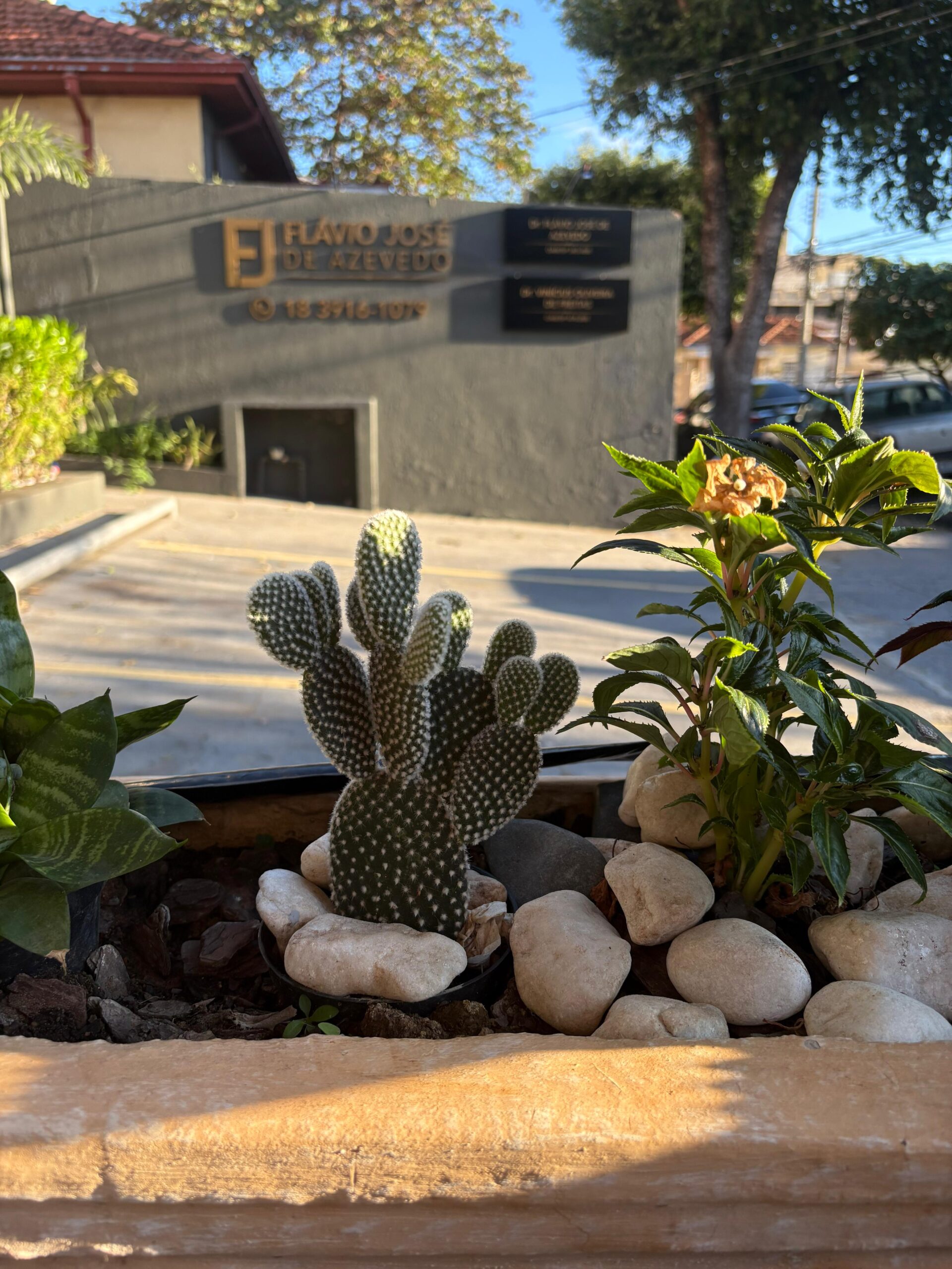 WhatsApp-Image-2025-06-10-at-5.03.49-PM-scaled