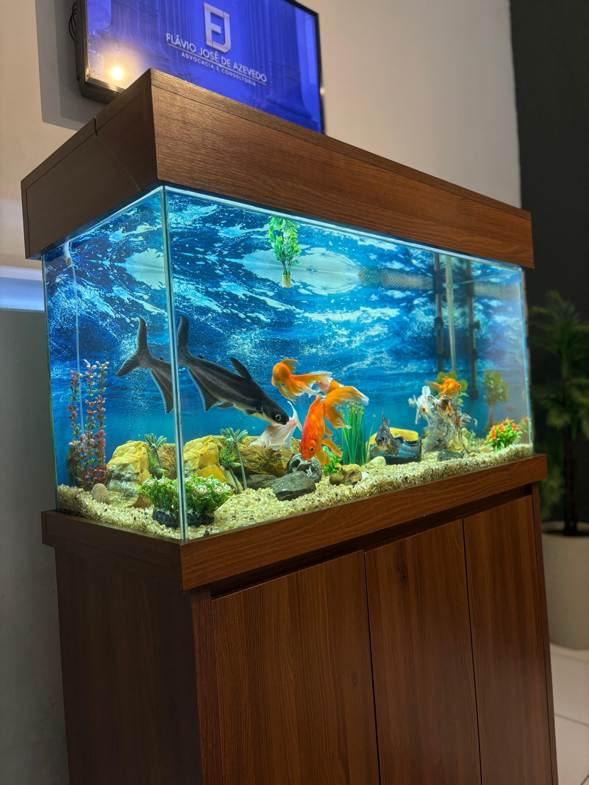 WhatsApp-Image-2025-06-10-at-5.04.54-PM-scaled